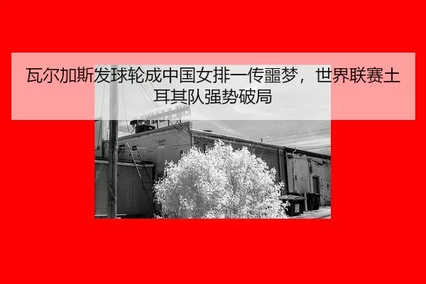 瓦尔加斯发球轮成中国女排一传噩梦，世界联赛土耳其队强势破局