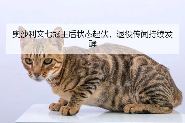 奥沙利文七冠王后状态起伏，退役传闻持续发酵