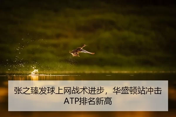 张之臻发球上网战术进步，华盛顿站冲击ATP排名新高